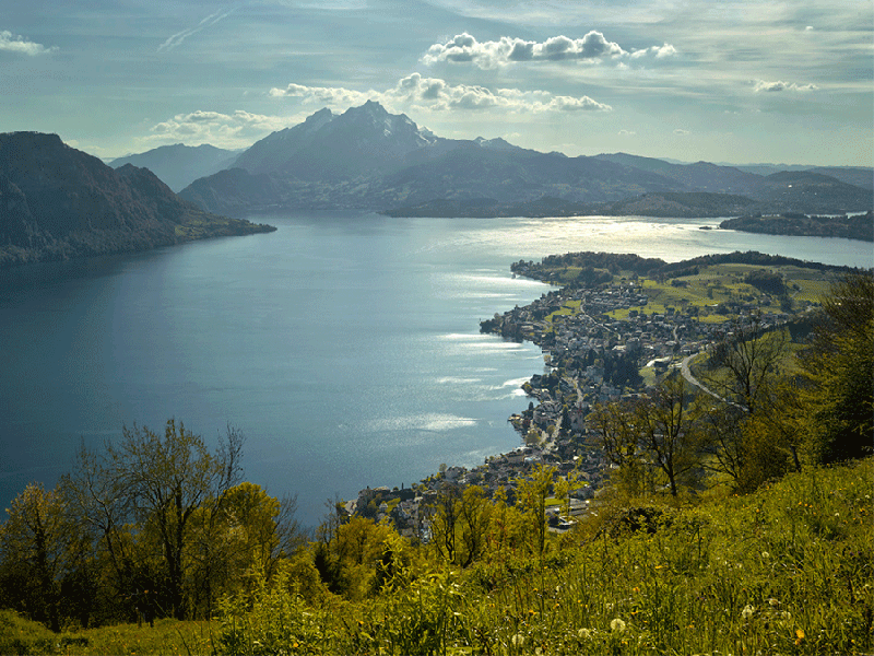 Rigi Chestnut roundtrip