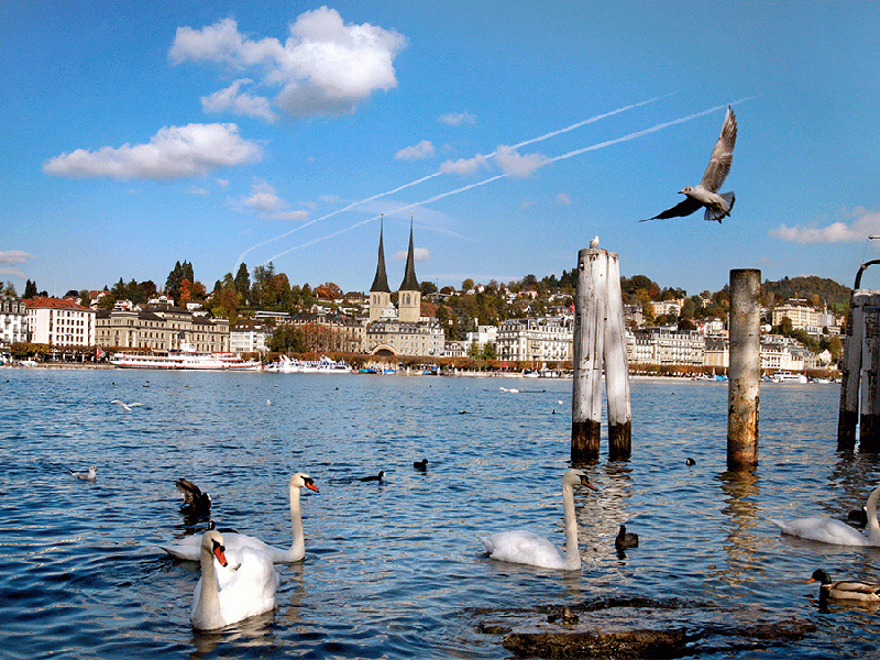 Round-trip from Weggis to Lucerne