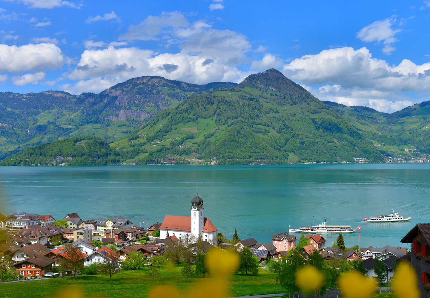 Lake Lucerne Day Ticket 2nd Class (with SBB Half-Fare Card)