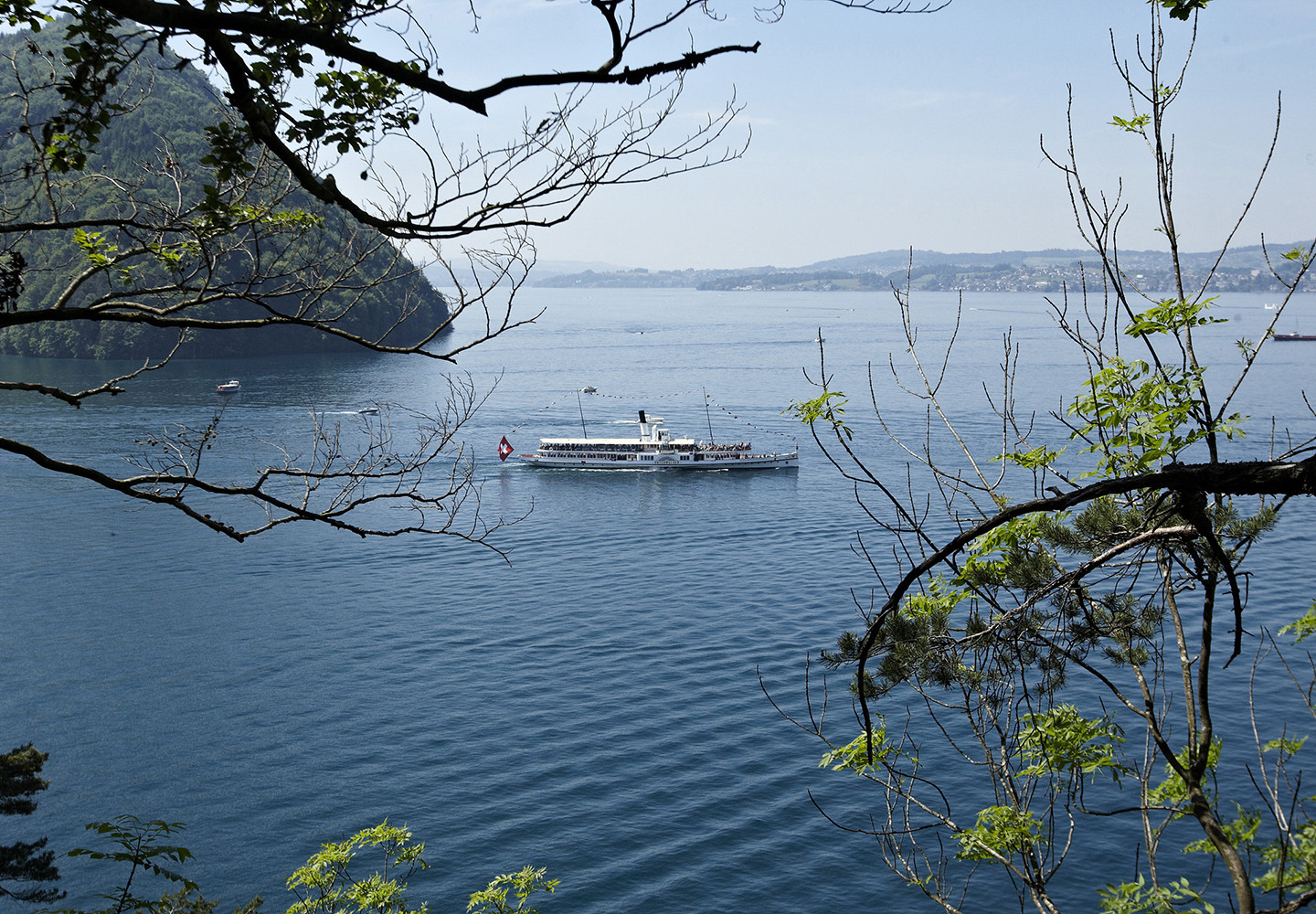 Lake Lucerne-Pass 1st class