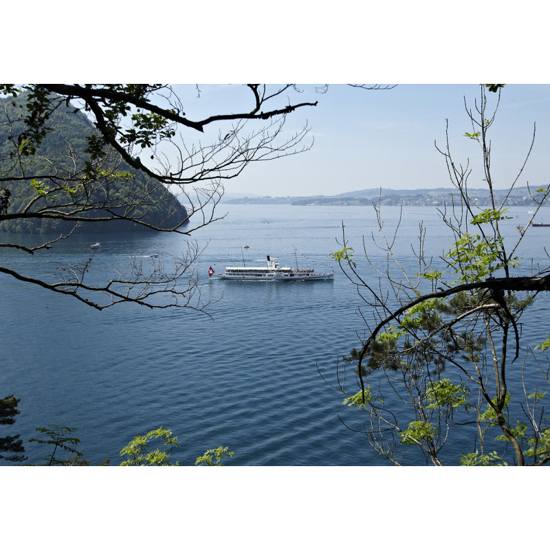 Lake Lucerne-Pass 2nd class